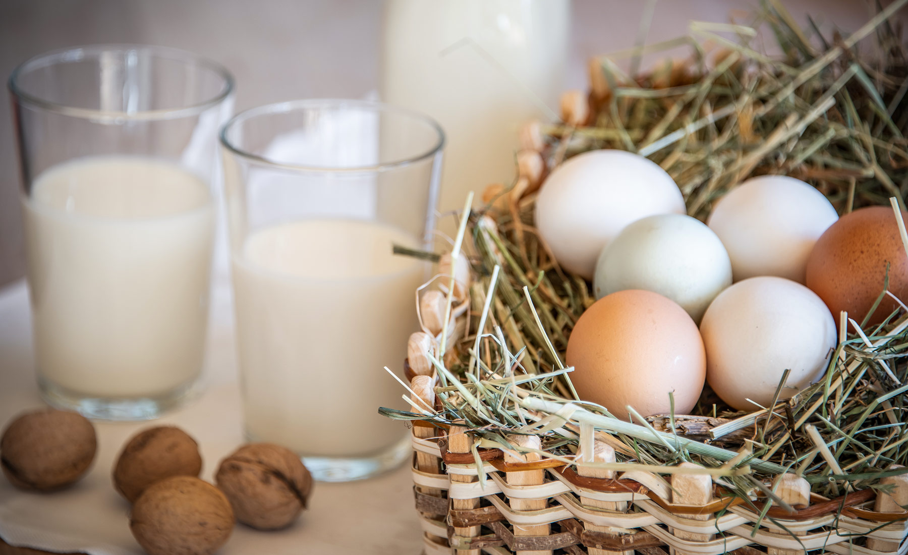 Bauernhof Fruehstueck 03