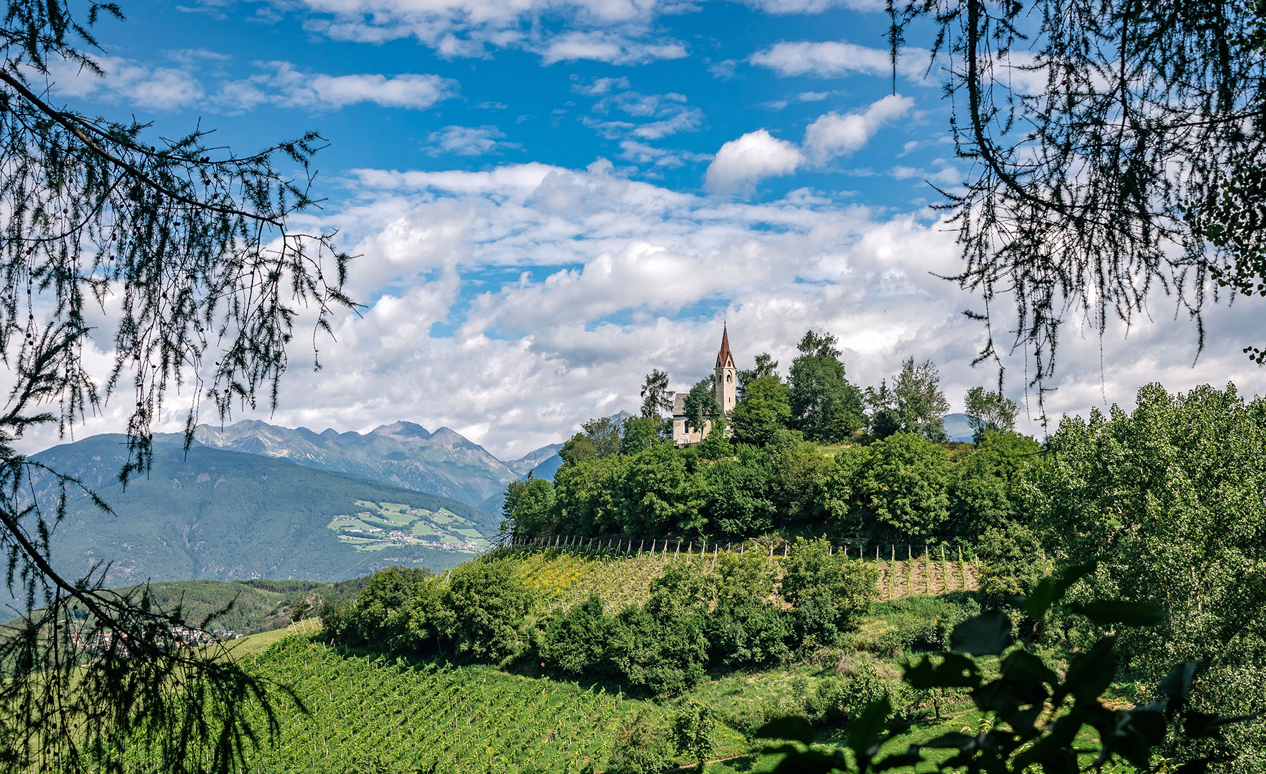 Urlaub Bauernhof Brixen Natur